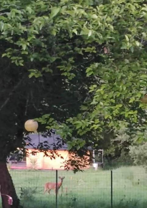 Insolite Kota Avec Spa Et Demi Bt De Champagne Offerte Ruch Kültér fotó